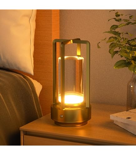 Amazon.co.jp: DI CLASSE(ディクラッセ) LED Capella T/L SV カペラ T  