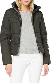 Vero Moda Women's VMCLARISA AW20 Short 