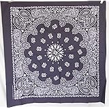 #218153 ハバハンク(HAV-A-HANK) ペイズリー柄ジャイアントバンダナ(89×89cm) 35in GIANT BANDANA スカーフ ハンカチーフ ポケットチーフ 風呂敷 正方形 ランチバッグ ギフト 紺 ネイビー