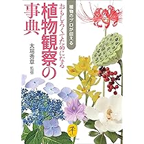 ヤマケイ文庫 植物のプロが伝える おもしろくてためになる植物観察の