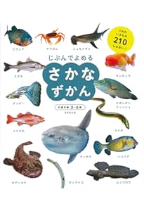さかな | 本村 浩之, 瀧 靖之 |本 | 通販 | Amazon