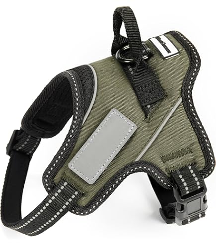 Carhartt（カーハート） ハーネス Sサイズ USカーハート ドッグ ハーネス CARHARTT TRAINING HARNESS 送料