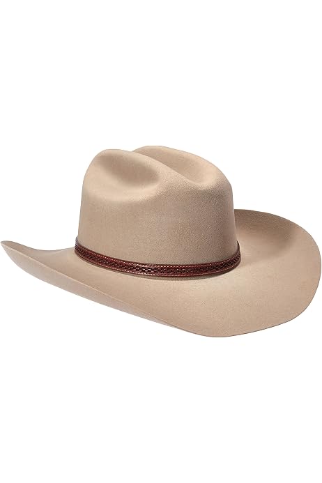 Stetson 2X Oak Ridge Wool Felt Hat 