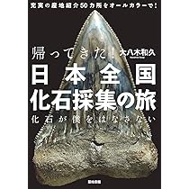 帰ってきた! 日本全国化石採集の旅―化石が僕をはなさない | 大八木和久
