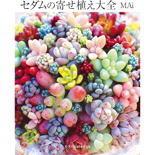 多肉植物のみっちり寄せ植え | kurumi |本 | 通販 | Amazon