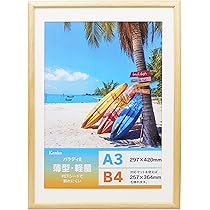 Amazon.co.jp: ケンコー(Kenko) 木製フォトフレーム パラディII