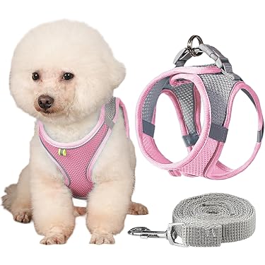 Amazon.co.jp 最新リリース: 犬用ハーネス の新着ランキングです。