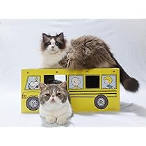 81-E3IpR0hL._AC_UL210_SR210,