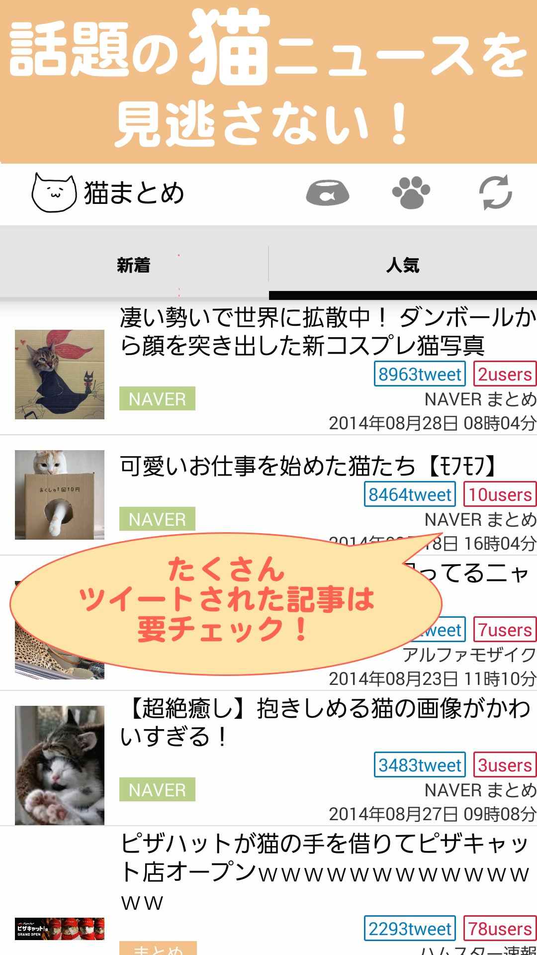 Amazon Co Jp 猫まとめ ねこ情報まとめ