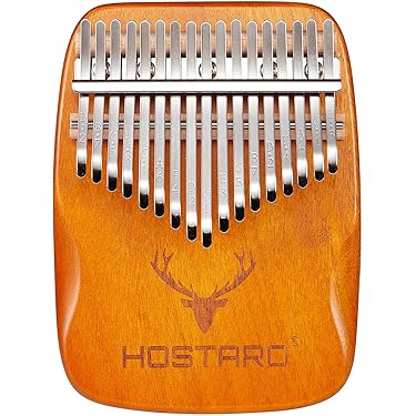 Amazon.co.jp 人気ギフトランキング: パーカッション・打楽器 で