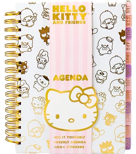 Amazon.co.jp: ハローキティ公式 サンリオ 日記帳 ピンク&金箔ハード