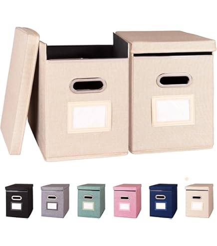 Leitz Premium Archive Box with Locking Flap, 120 mm Spine Width