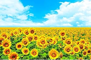 ND タペストリー ひまわり 花 花束 夏 フラワー 植物 太陽 モネ ゴッホ 青空 緑 園芸 生地 インテリア テレワーク 背景 リモートワーク 大きい 壁 布 目隠し 部屋 飾り 間仕切り 向日葵 (デザイン3)