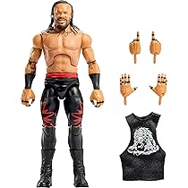 Amazon.co.jp: Mattel WWE アルティメットエディション ファンテイク