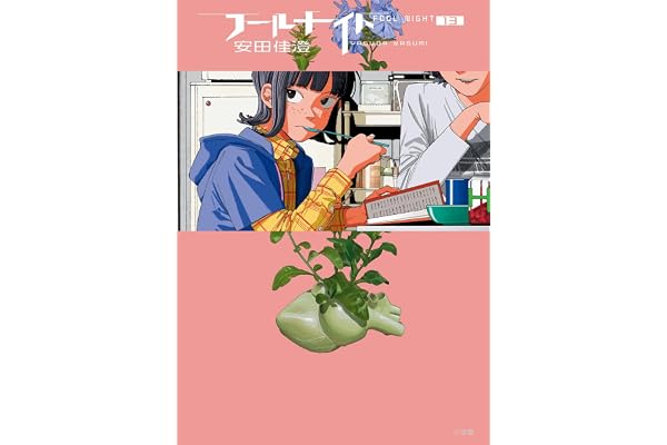 フールナイト（１３） (ビッグコミックス)
