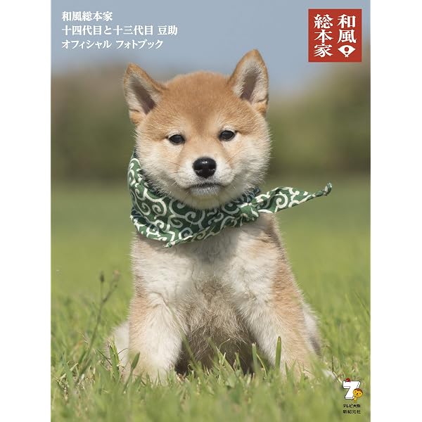 Amazon.co.jp: 和風総本家 七代目 豆助 オフィシャル フォトブック