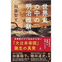 Amazon.co.jp: 民主主義の非西洋起源について: 「あいだ」の空間の民主