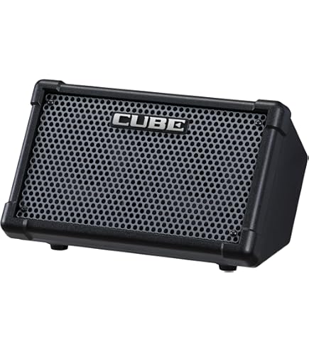 Roland CUBE-20XL 20-Watt 1x8-Inch Bass Combo Amp : Amazon.com.au