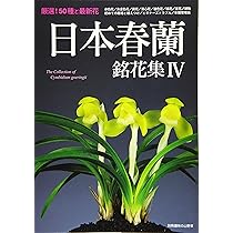 81-aXCwY8ML._AC_UL210_SR210,