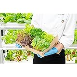常備野菜５種詰め合わせ │ドレッシング要らず 一ヶ月日持ち 洗わずそのまま 付け合わせ専用 ミディアムリーフ 5つ星ホテル採用 （Regular）