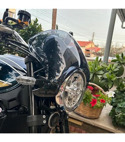 Amazon | ドレミコレクション リペア スクリーン Z900RS ストーン