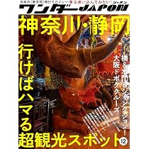 ワンダーJAPON (12)（日本で唯一の「異空間」旅行マガジン
