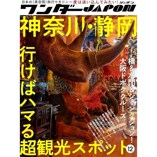 Amazon.co.jp: ワンダーJAPAN 日本の不思議な《異空間》800 (三才