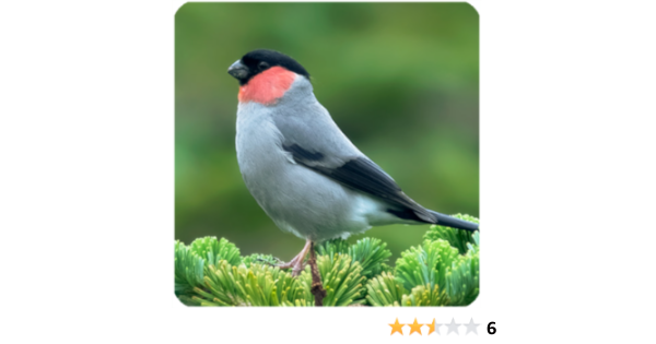 Amazon Co Jp 鳥の鳴き声2 スズメの仲間 Android アプリストア