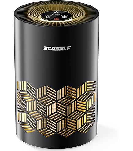 Amazon.co.jp: ECOSELF 空気清浄機 小型 【2025新モデル Hepa