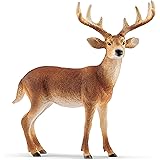 シュライヒ(Schleich) ワイルドライフ オジロジカ(オス) フィギュア 14818