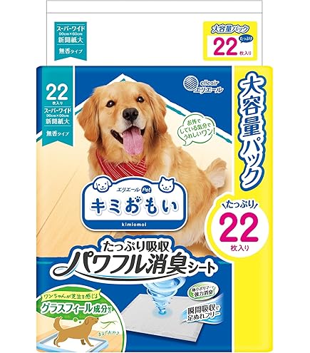 デオシート　スーパーワイド 23枚×5セット Amazon | デオシート しっかり超吸収 無香消臭タイプ スーパー