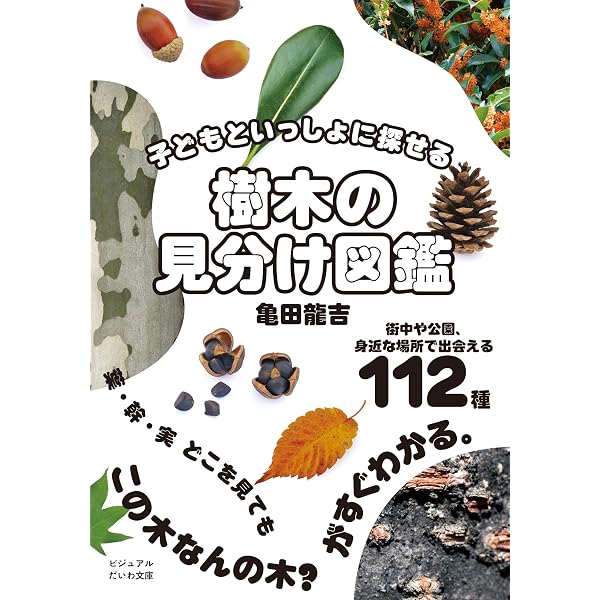 Amazon.co.jp: 新装版 樹木 見分けのポイント図鑑 : 林 弥栄, 畔上