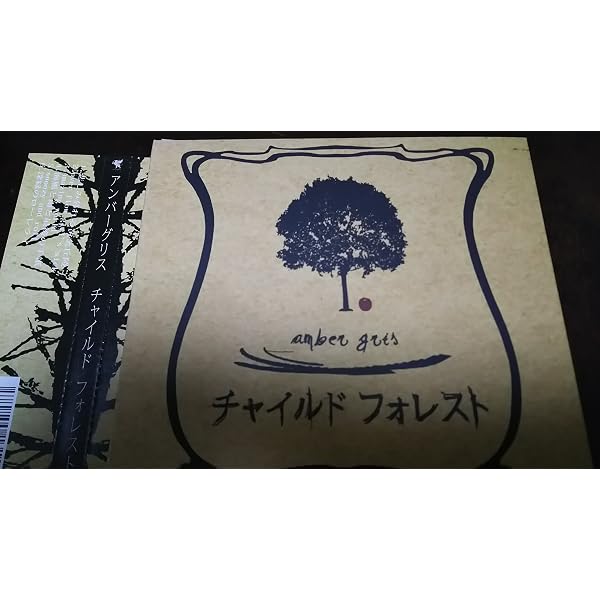 Amazon.co.jp: amber gris THE BEST - I'll be right here -: ミュージック