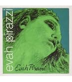 Amazon.co.jp: Evah Pirazzi エヴァ・ピラッツィ ヴァイオリン弦 G線