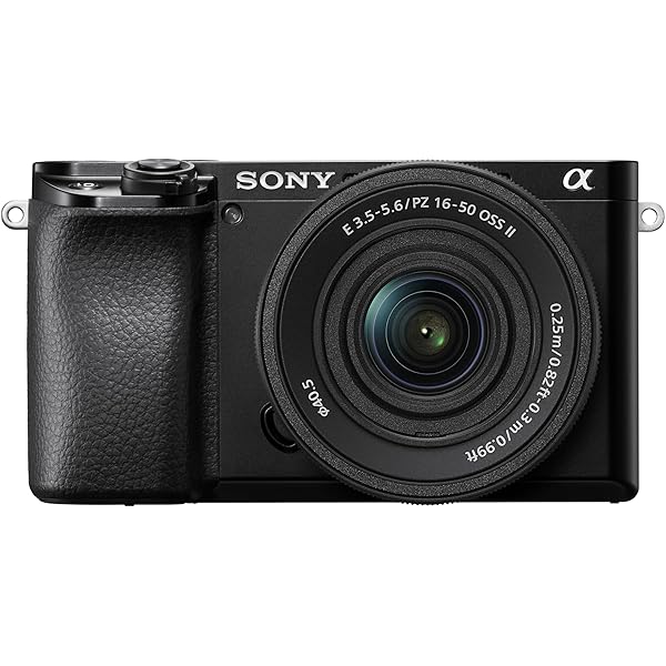 810-hS3PbpL._AC_UL600_SR600,