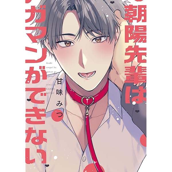 Amazon.co.jp: 正しい恋とよこしまな愛(3) (リュウコミックス) : え