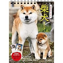 8101pNCIBxL._AC_UL210_SR210,