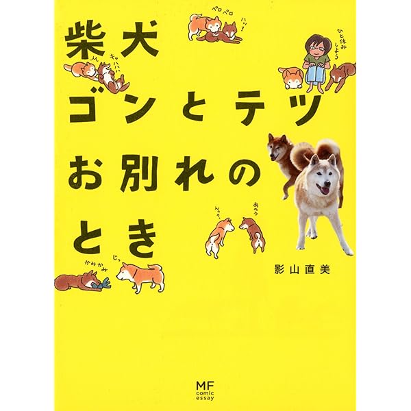 Amazon.co.jp: 柴犬ゴンのへなちょこ日記 新装版 (メディア
