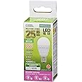 オーム電機 LED電球 小形 E17 25形相当 昼白色 LDA2N-G-E17 IS51 06-4472 OHM