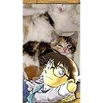 名探偵コナン iPhone SE/8/7/6s(750×1334)壁紙 江戸川 コナン(えどがわ コナン) 名探偵コナン iPhone SE/8/7/6s(750×1334)壁紙 江戸川 コナン(えどがわ コナン)