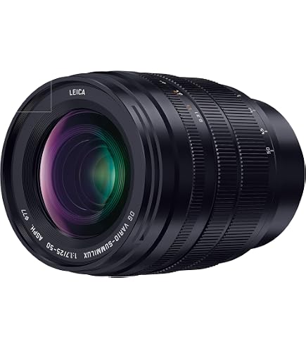 Amazon.co.jp: Panasonic LUMIX マイクロフォーサーズカメラレンズ 