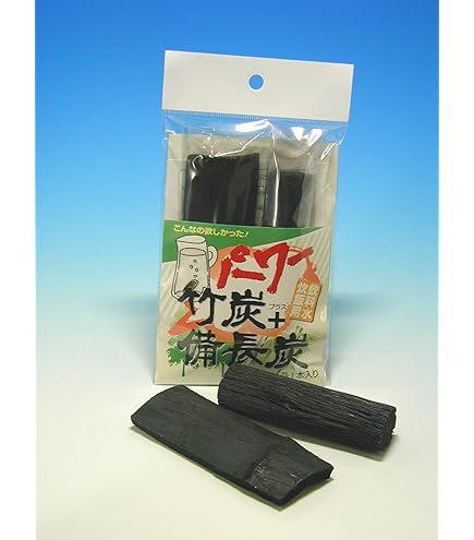 木炭パワーでなおる 備長炭活用健康住宅 木炭パワーでなおる: 備長炭活用健康住宅 | 牧内 泰道 |本