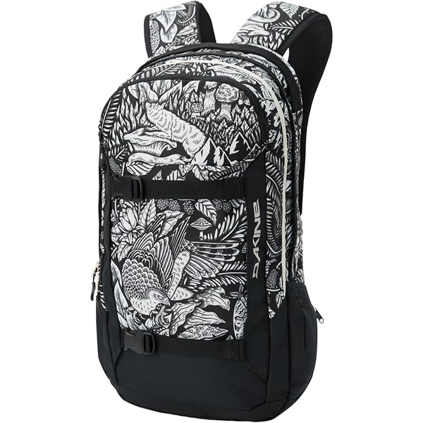 Amazon.co.jp: Dakine Heli Pro 24リットル ウィンターアドベンチャー