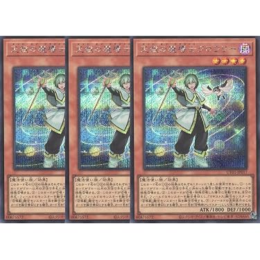 Amazon.co.jp 最新リリース: シングルノンスポーツコレクションカード