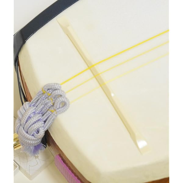 Amazon.co.jp: 藤本琇丈民謡選集: 三味線文化譜(節付譜入) (2) : 藤本