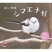 810QMNBNGWL._AC_UL210_SR210,