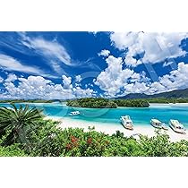 Amazon | エポック社 1000ピース ジグソーパズル 日本風景 石垣