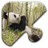 Jigsaw Puzzles Free Game - Chapter 28