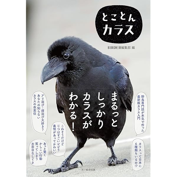 Amazon.co.jp: 眠れなくなるほど面白い 図解 カラスの話 電子書籍: 松