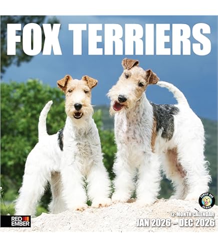 Amazon | MegaCalendars フォックステリア ワイヤーヘアードカレンダー